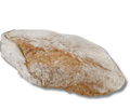 Pão Integral